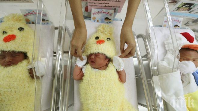 ТРЕВОЖНО: Ниската раждаемост вече е трайна тенденция у нас