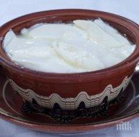 СРОКЪТ ИЗТИЧА: Брюксел може да ни съди за киселото мляко