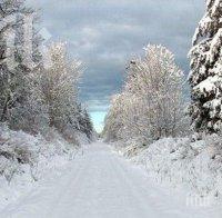 274 деца блокирани в хижа край Разлог