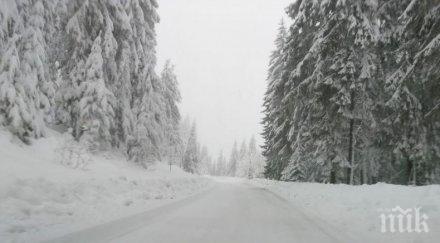 първо пик мвр последни данни бедствието смолянско затворени пътища