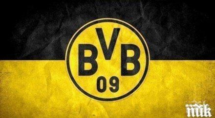 добра новина лагера жълто черните