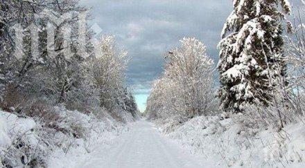 274 деца блокирани хижа разлог