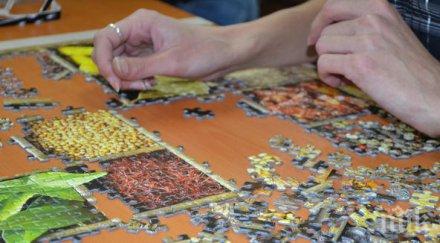 асеновград събира майсторите пъзела