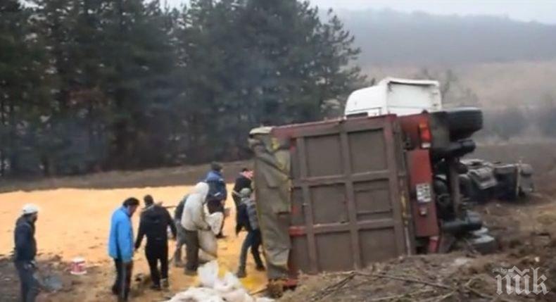 ТИР, пълен с царевица, се преобърна край разградско село