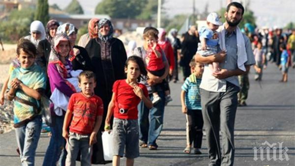 За година Дания е приела 3500 бежанци