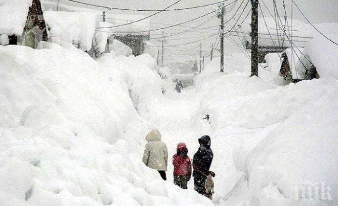 ЧЕРВЕН КОД: Снегът затрупа Сърбия (ВИДЕО)