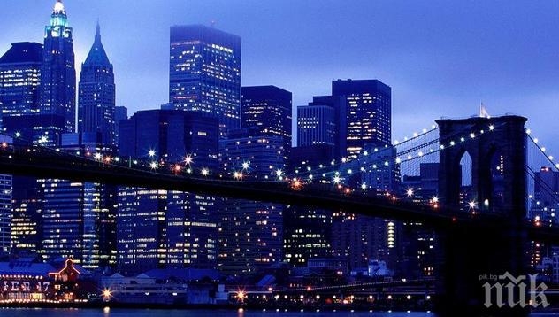 Рекордна цена: Купиха апартамент в Ню Йорк за 238 милиона долара