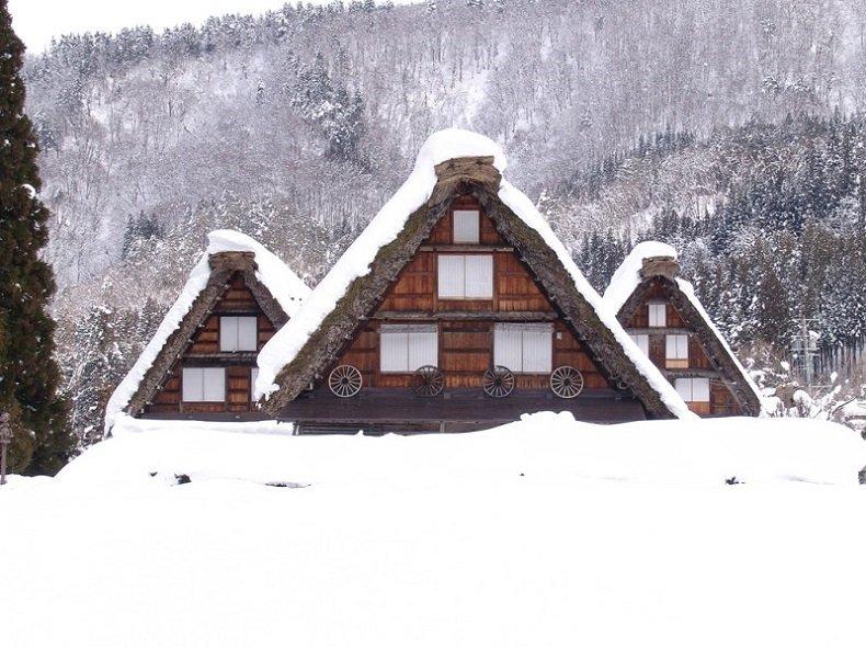 Половин метър сняг засипа Япония