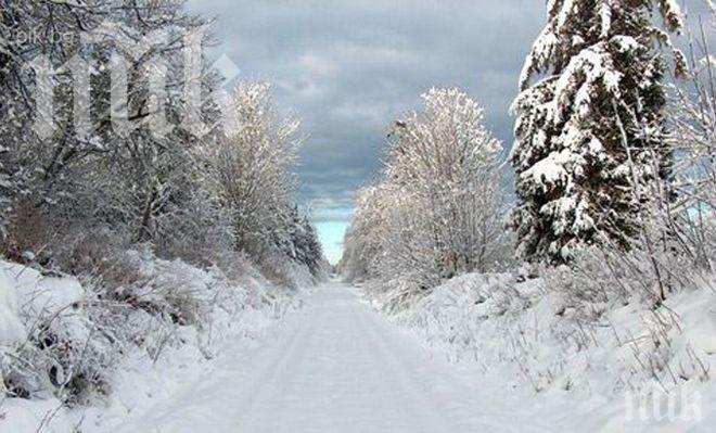 274 деца блокирани в хижа край Разлог