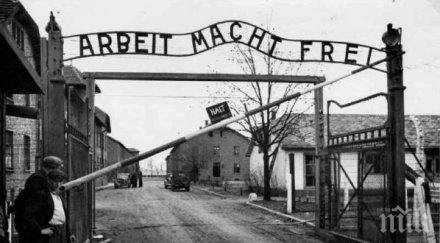 полски националисти протестираха аушвиц