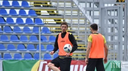 бранител избира канарите сините