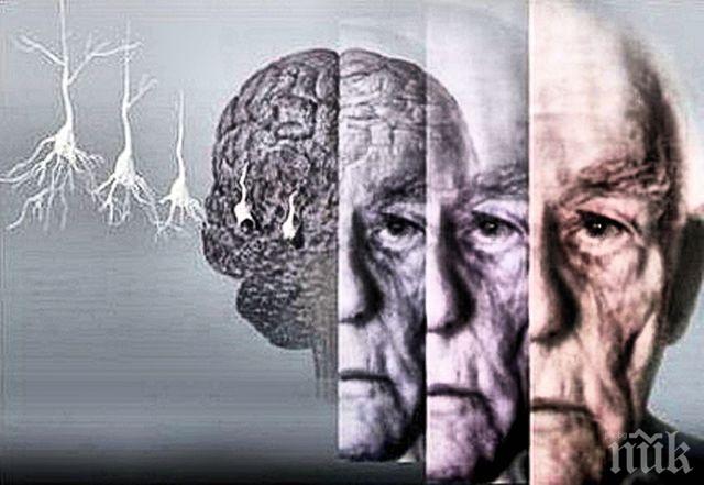 Учени откриха първопричината за болестта на Алцхаймер