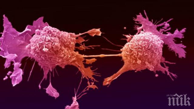 Сензация: Учени откриха как се задръстваме с боклука на рака