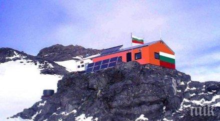 антарктиците откриха замръзналите фосили пет неизвестни растения