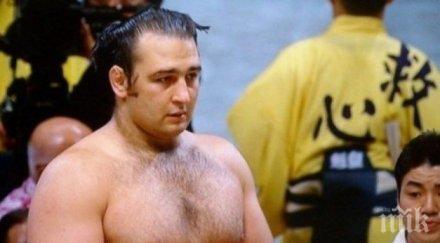 скандал разследват школата сумо котоошу насилие непълнолетен