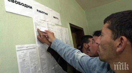 борят едно бюрата труда