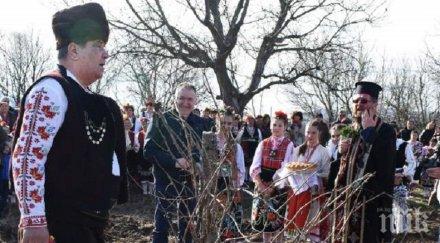 трифон зарезан дионис бегунци събраха жителите подбалкана вино песни хора