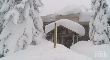 отпускат средства генератор обсерваторията рожен