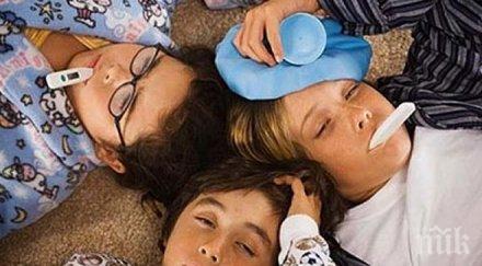 грипната епидемия област кърджали