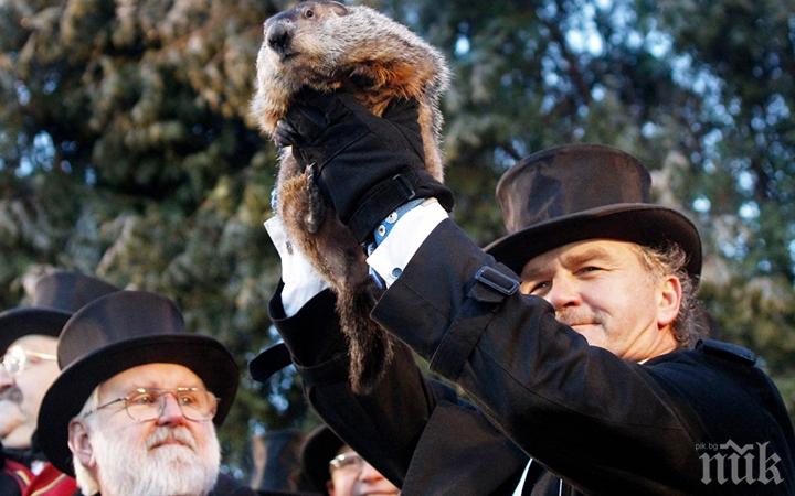 Интересни факти по случай Деня на мармота