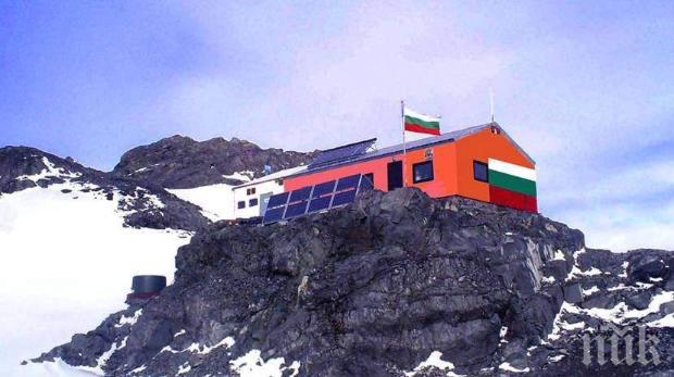 Антарктиците ни откриха замръзналите фосили на пет неизвестни растения