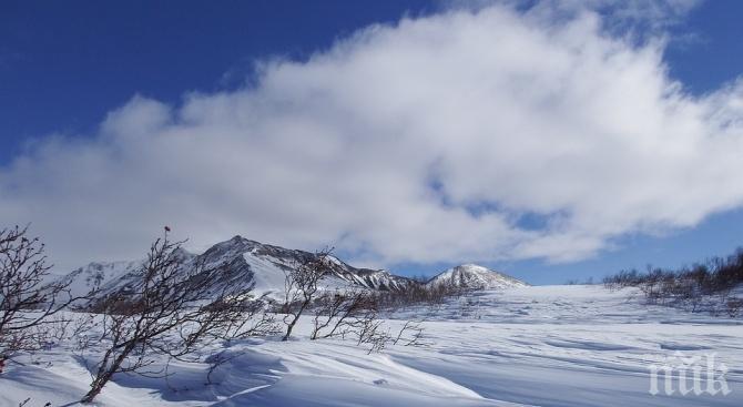 Полярният вихър взе още една жертва в САЩ