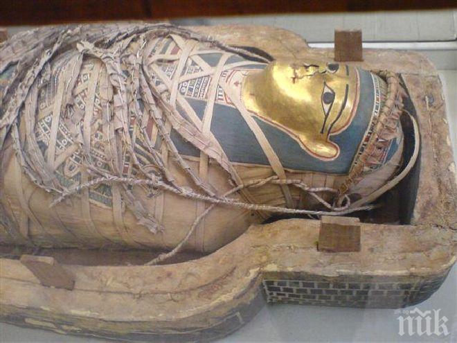 Голямо откритие в Египет: Намериха около 40 мумии в древни погребални камери 