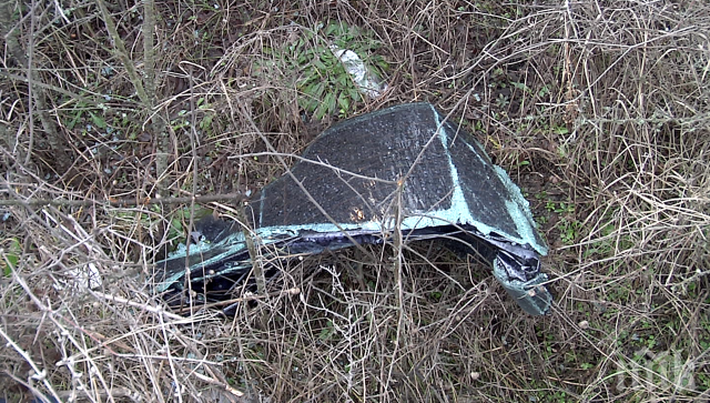 ТРАГЕДИЯ: Извадиха тялото на загинал мъж, паднал с колата си върху скали край Своге