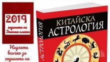 Китайската нова година: Какво да правим през месеците на Земния глиган?
