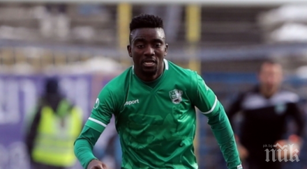 заралии важен трансфер