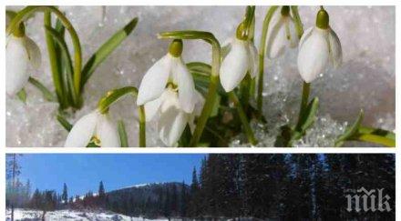 шарено време термометърът държи фронта ден два градуса четвъртък връща студът