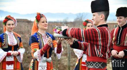 българска изба представи вина редки сортове уникални тапи снимки