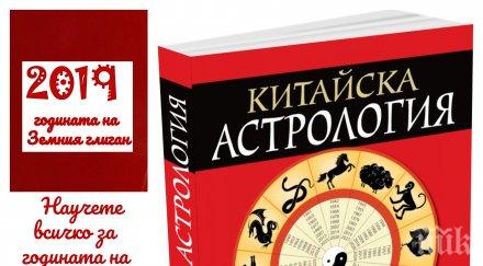 Китайската нова година: Какво да правим през месеците на Земния глиган?