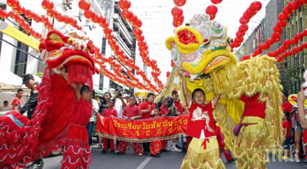 годината земния глиган какви правила спазвате