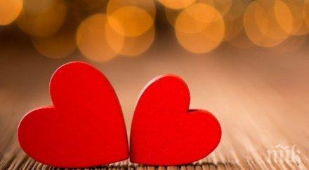 богата работа пръскаме млн лева трифон зарезан свети валентин