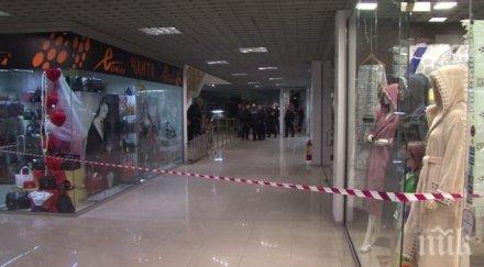 змията подлудила цял пловдив бягството снимка