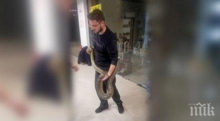 пловдивският мол гони собственика змията беглец
