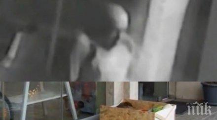 внимавайте крадец кучешки легла върлува центъра софия