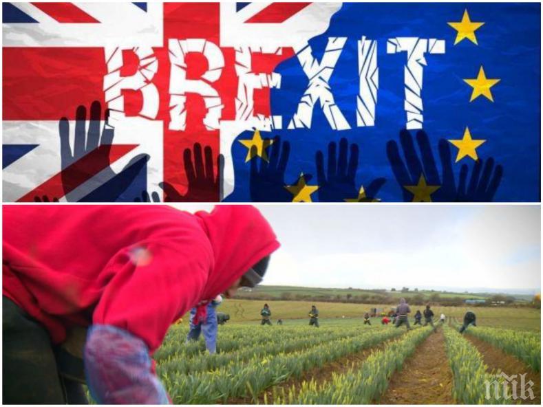 Брекзит може да предизвика колапс в туризма