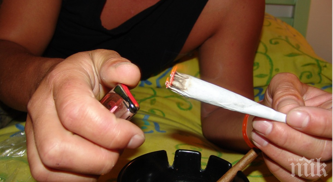 Учени установиха: Повече марихуана - повече деца