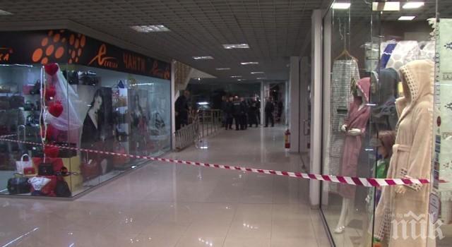 Ето я змията, подлудила цял Пловдив с бягството си (СНИМКА)