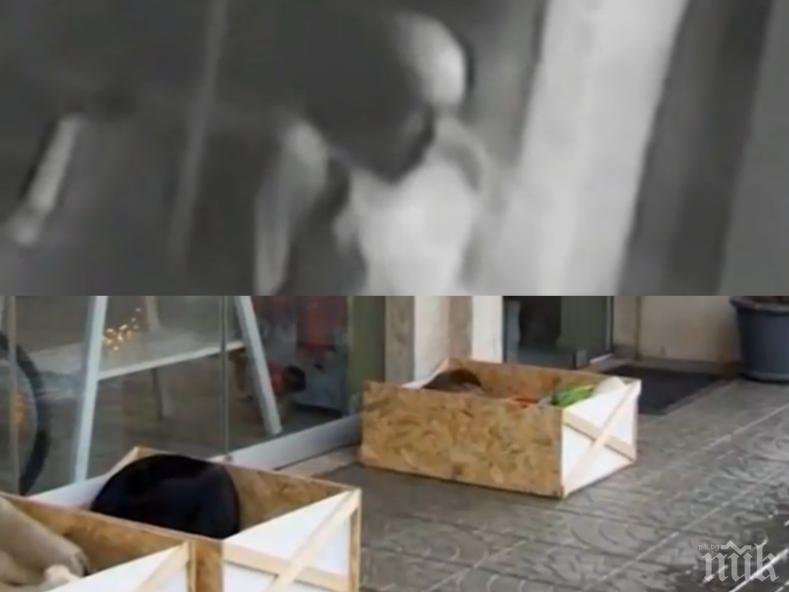 ВНИМАВАЙТЕ: Крадец на кучешки легла върлува в центъра София