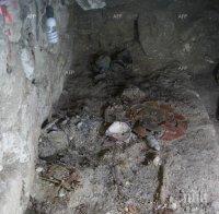 Откриха масов гроб на жертви на 