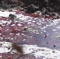 Кървава река потече във 