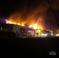 200 прасета оцеляха при адския пожар във Войводиново, работници плачат пред фабриката