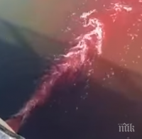 ШОК: Кървава вода се стича към Водното огледало в Кърджали