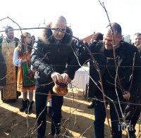 Цветан Цветанов заряза лозов масив край Харманли