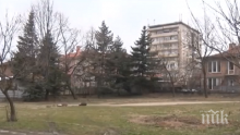 В Хасково излизат на протест срещу строеж в парк