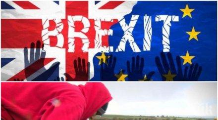 гореща тема експерт важни новини българите великобритания брекзит