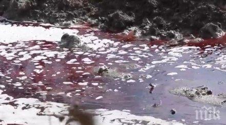 кървава река потече водното огледало кърджали снимки